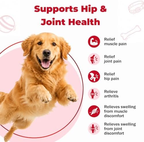Dog Pain Relief, Dog Arthritis Pain Relief Support, Joint Pain Support for Dogs, Anti-Inflammatory Support for Mobility & Comfort, Helps Support Osteoarthritis Discomfort, Oral Suspension, 1.01 fl oz
