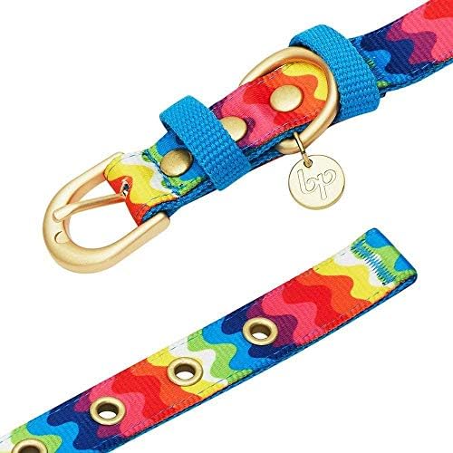 Blueberry Pet Rainbow Ripple Dream Adjustable Dog Collar with Blingy Décor, Neck 9-12.5", for Small Breed