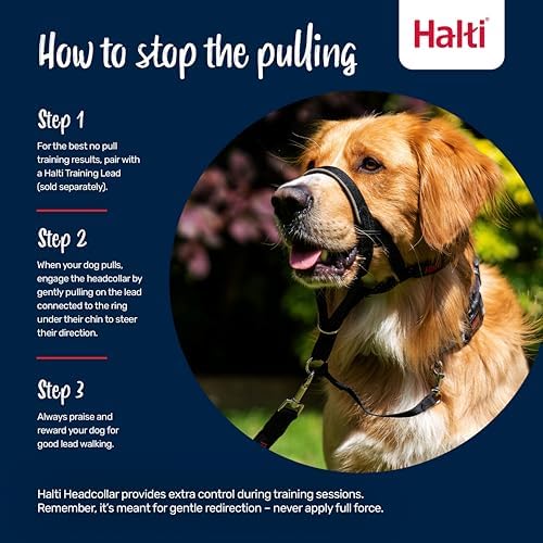 Halti Headcollar | Size 2, Red | Training Collar for Medium Dogs