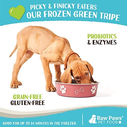 Raw Paws Frozen Raw Green Lamb Tripe Dog & Cat Food, 1-lb Rolls (20 Pack)
