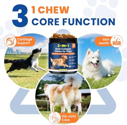 Multi Collagen Soft Chews for Dogs 250 Count for Hip & Joint Supplement Skin & Coat Health Cartilage Mobility Support with Glucosamine Probiotics Hyaluronic Acid Eggshell Membrane (Chicken Flavor)