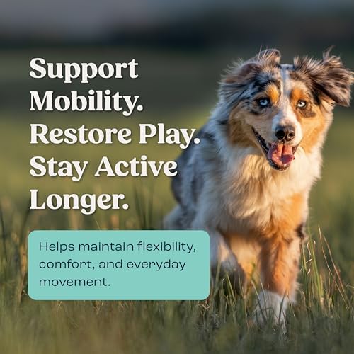 Summit Canine Joint and Mobility Supplement for Medium Dogs, All Natural Liquid Chondroitin, Liposomal Delivery for Arthritis, Hip & Joint Support Vitamin, (Dogs, 25-75lbs)