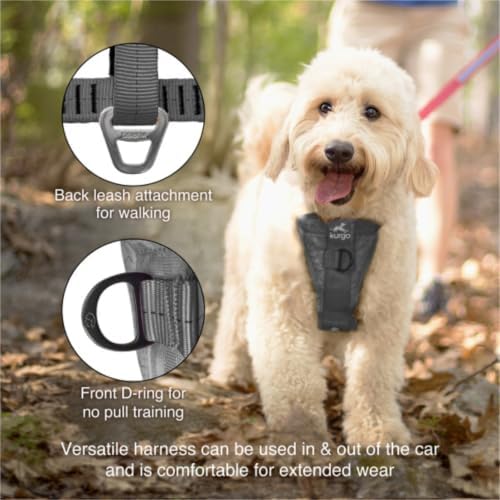 Kurgo Enhanced Strength Tru-Fit Smart Harness, Charcoal, Small
