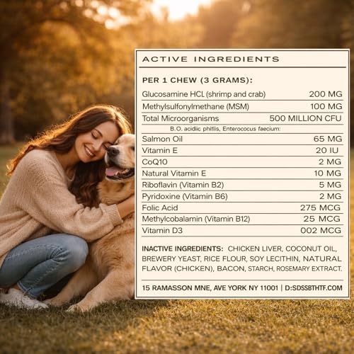DM-01 Daily Multivitamin for Dogs, 12-in-1 Soft Chews with Salmon Oil, Probiotics, Chondroitin & Vitamins, Skin & Coat, Gut, Hip & Joint and Immune Support, Beef Flavor, 60 Chews