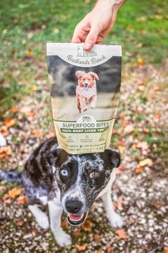 BADLANDS RANCH by Katherine Heigl – Superfood Bite Freeze-Dried Raw Beef Liver Dog Treats – High Protein Single-Ingredient Snacks for Training, Rewards & Daily Wellness – 4 oz (Pack of 8)