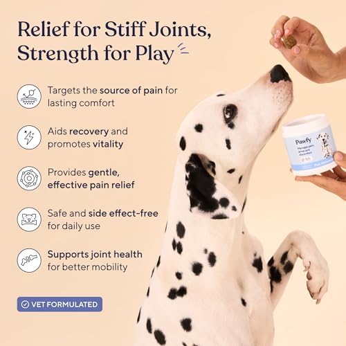 Pawfy Hip & Joint Supplement for Dogs - Omega 3 for All Breeds & Sizes