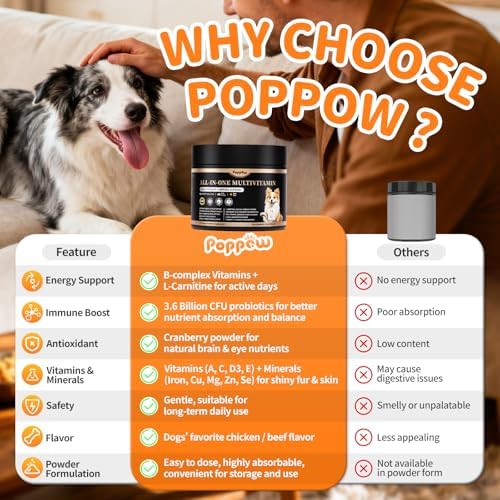 Dog Multivitamin Powder – Energy, Gut & Immune, Chicken 75 Scoops | Dog Vitamins and Supplements, Antioxidants, Skin & Coat for Homemade Food with L-Carnitine, Taurine, Probiotics