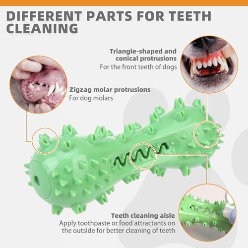 KOOLTAIL Floating Dog Bumper Toothbrush Chew Toy, Green