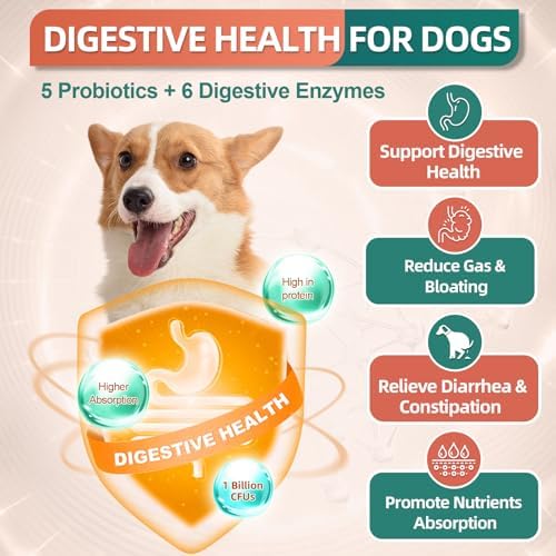 DRFOSTER Dog Multivitamin Supplements, Chicken Flavor, 180 Bites | Dog Vitamins and Supplements with Glucosamine, Probiotics & Omega-3 for Joint, Digestive, Skin, Coat & Immune Health
