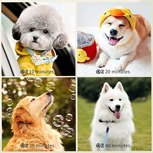 Dog Hair Dryer Blower Quiet, Pet Dryer Grooming Professional with Touch Screen Adjustable Speed High Velocity for Small Medium and Large Dogs Cats Pets,Orange