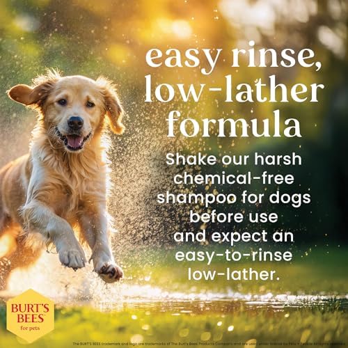 Burts Bees for Pets Oatmeal Dog Shampoo with Honey, 16 Fl Oz, 6-Pack | Soothing colloidal oat flour formula for itchy, sensitive dog skin, pH-balanced and sulfate-free for regular use