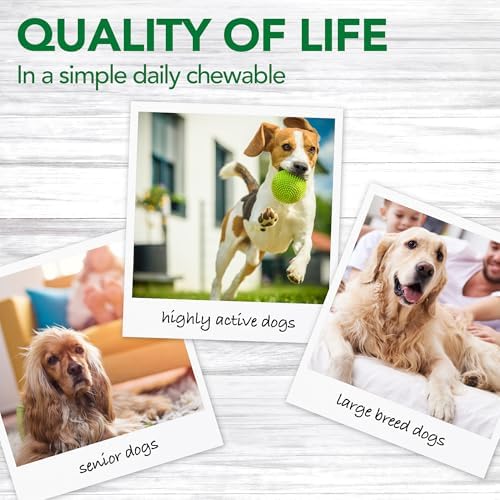 Vet’s Best Dog Pain Relief Supplement,Natural Aspirin Alternative for Hip & Joint Support,Arthritis & Aches Relief Tablets for Dogs,150 Count (Pack of 2)