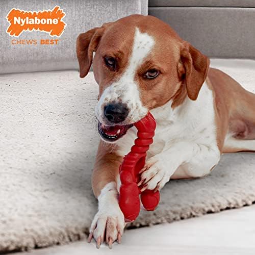 Nylabone Lobster Power Chew Toy for Dogs, Dog Toys for Aggressive Chewers | Lobster dog toy for x-large dogs 50 lbs+, designed for power chewers, filet mignon flavor
