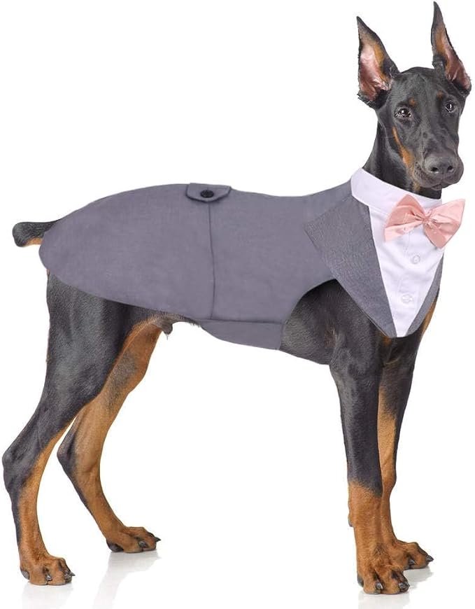 PUMYPOREITY Dog Tuxedo and Bandana Set, XX-Large (Pack of 1), Grey