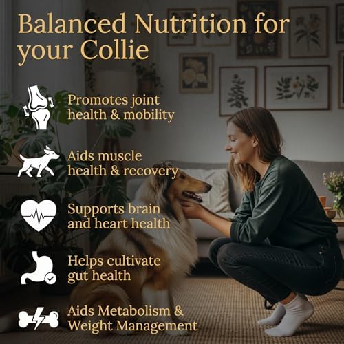 Collie Multivitamins, 90 Count, Made in the USA with Real Bacon.