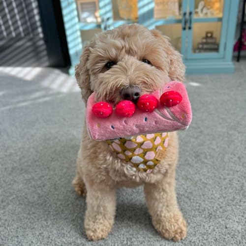CHEWFFON Birthday Cake Snuffle Dog Toy, Enrichment Treat Hiding Puzzle | Squeaky & Crinkle Plush, Nose Work Interactive, Boredom & Mental Stimulation, Brain Game for Small Medium Dogs, Puppy Gift