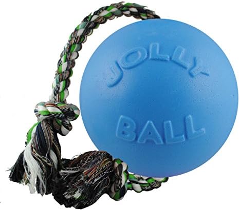 Jolly Pets Romp-N-Roll Rope & Ball Dog Toy, 8 in Large, Blueberry | Rope-and-ball fetch toy in tough JollyFlex - won't deflate if punctured, floats, made in USA