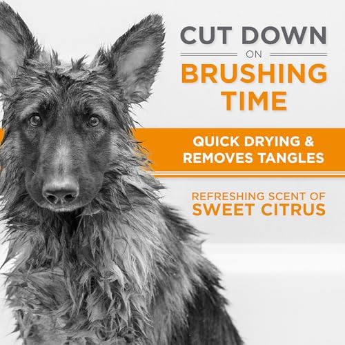 TropiClean Perfect Fur Detangling & Deshedding Shampoo, 16oz | For Breeds with Thick Double Coats | Natural Moisturizing Formula | Puppy Safe