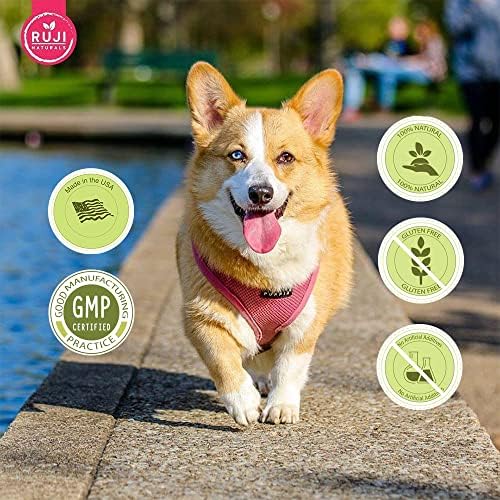 6 in 1 Superfood Dog Supplement with Organic Moringa | Treats for Immune System and Overall Health | Pets All Natural Multivitamins - 90 Chews