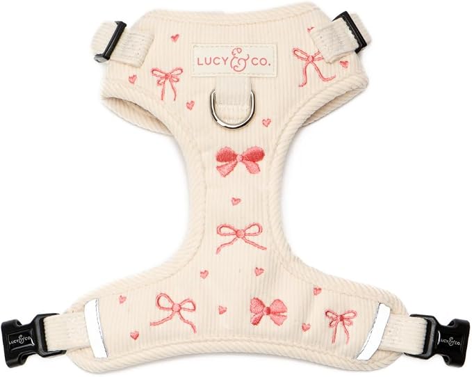 Lucy & Co. Ever So Sweet No-Pull Dog Harness, Adjustable Front Clip Harness with Comfort Padding, X-Large