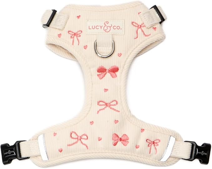Lucy & Co. Ever So Sweet No-Pull Dog Harness, Adjustable Front Clip Harness with Comfort Padding, Small