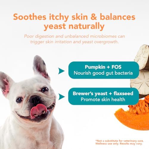 OL'Nelly Dog Probiotic Chews, 5.4 Billion CFU, 6 Strains, Pumpkin, Inulin & Yucca Root, Digestive Health Supplement for Dogs, Supports Gut Balance, Firmer Stools, Anal Gland Health, Gas & Bloating
