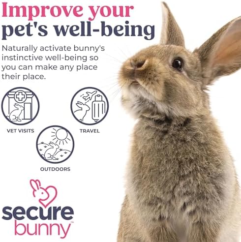 SIGNS SecureBunny Adventure