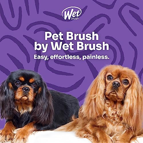 Wet Brush Ultimate Dual-Sided Detangling Brush, Blue