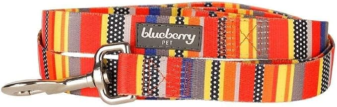 Blueberry Pet Essentials Durable Nautical Flags Inspired Designer Dog Leash 5 ft x 3/8" for Puppy, X-Small, Leashes for Dogs