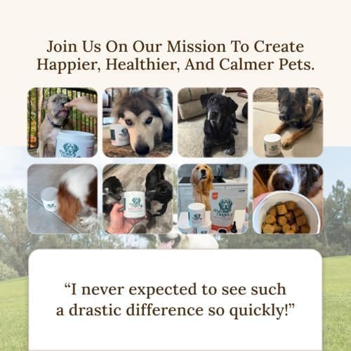 Mobility Max Dog Hip and Joint Supplement with Glucosamine, Chondroitin, MSM & Vitamin C – Hip and Joint Chews for Dogs – 9-in-1 Advance Formula – 60 Bacon Chews for Active & Senior Dogs, 240g