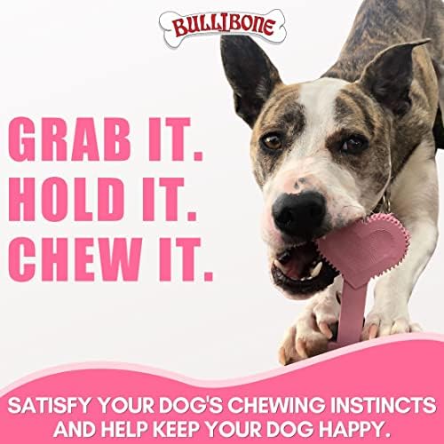 Bullibone Nylon Dog Chew Toy for Aggressive Chewers - Dental Hygiene Bone with Peppermint Flavor, Durable Tough Chew Toys for Large Dogs, Indestructible Dog Bone - 2 Pack