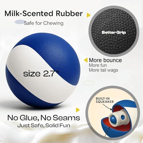 Squeaky Dog Toy, Durable Rubber Ball, Medium & Large Dogs, Ocean