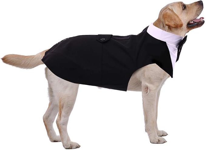 PUMYPOREITY Dog Tuxedo and Bandana Set, XX-Large (Pack of 1), Black