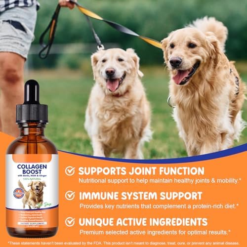 Liquid Collagen Supplement for Dogs – with Biotin, MSM & Ginger – Supports Joint Health, Skin & Coat, Digestion & Immunity – 2 fl oz (60 ml)
