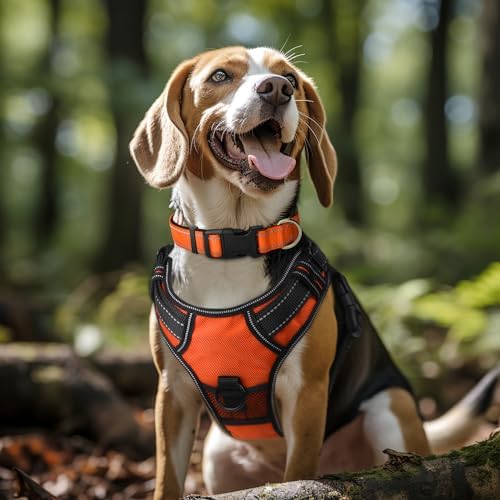 Joytale Dog Harness (Chest: 12-21"), Dog Collar and 6FT x 3/4" Wide Dog Leash Set, Reflective Padded Nylon Collar and Leash, Adjustable Soft Harness with Handle for Dogs
