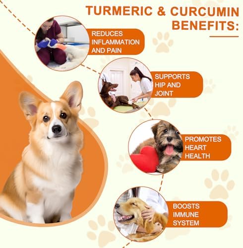 Turmeric for Dogs - 180 Turmeric Curcumin Tablets Supports Heart, Joint & Inflammation, Hip & Joint Aid, Dog Pain Relief, Allergy & Itch Relief, Duck Flavour
