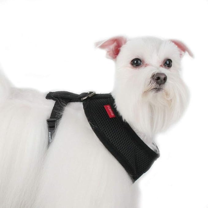 Puppia Soft Dog Harness No Choke Over-The-Head Triple Layered Breathable Mesh Adjustable Chest Belt and Quick-Release Buckle, Black, Small (Pack of 2)