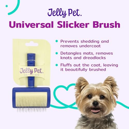Jelly Pet Universal Slicker Brush for Dogs, Small, Purple