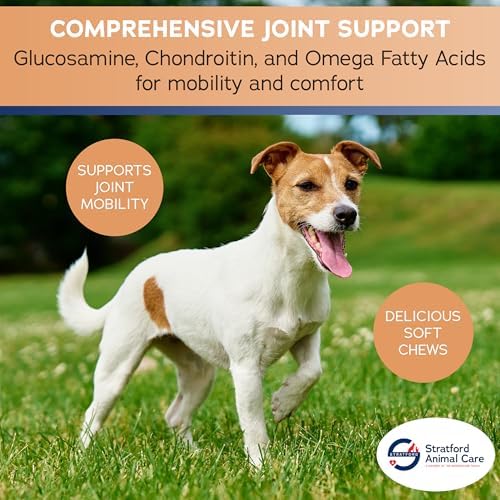 Joint Support Minis for Small Breeds - 60ct
