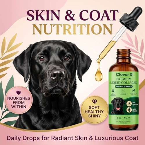 Clover Collagen for Dogs, Triple Hydrolyzed Liquid Collagen Peptides with Glucosamine and Hyaluronic Acid, Joint Mobility Support, Skin and Coat Supplement Drops (1PC)