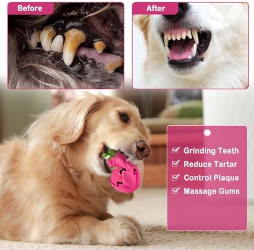 AUSCAT Dog Treat Dispensing Toys, Dispensing Puzzle Dog Toy, Rubber Dog Treat Dispenser, Interactive Stimulation Dog Food Toys, Pitaya Shape