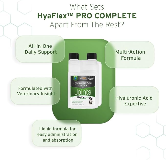 Hyalogic HyaFlex PRO - Hyaluronic Acid Joint Supplement for Dogs, 240ml