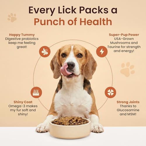 Dog Food Toppers for Dry Food - Savory Roasted Beef Wet Dog Food Topper with Glucosamine, MSM, Beef Bone Broth & Probiotics for Picky Eaters - Hip, Joint & Skin Support, 16 oz