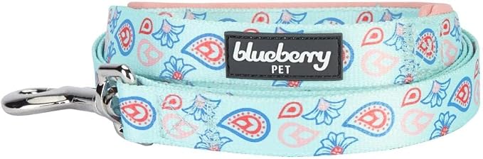 Blueberry Pet 5 Colors Paisley Flower Print Dog Leash with Soft & Comfortable Handle, 4 ft x 1", Pastel Blue, Large, Leashes for Dogs