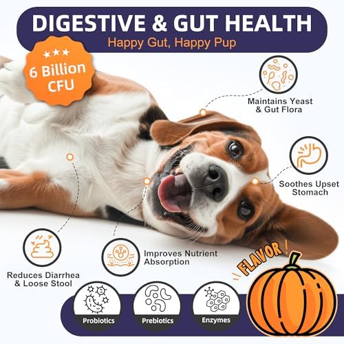 NATURE TARGET Probiotics for Dogs, 6 Billion CFU, Pumpkin, 120 Chews