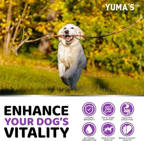 (2 Pack) Dog Multivitamin Chewable - 340 Ct - Dog Vitamins and Supplements | Senior & Puppy Multivitamin for Dogs - Hip & Joint Support - Immune Health, Skin, Heart, Digestion, Probiotics