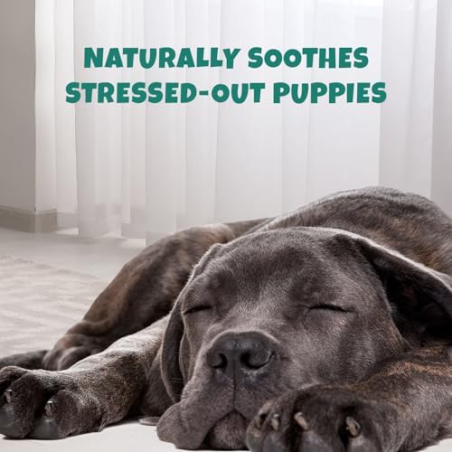 Petipet Calming Chews for Dogs, Melatonin, Chamomile, Small