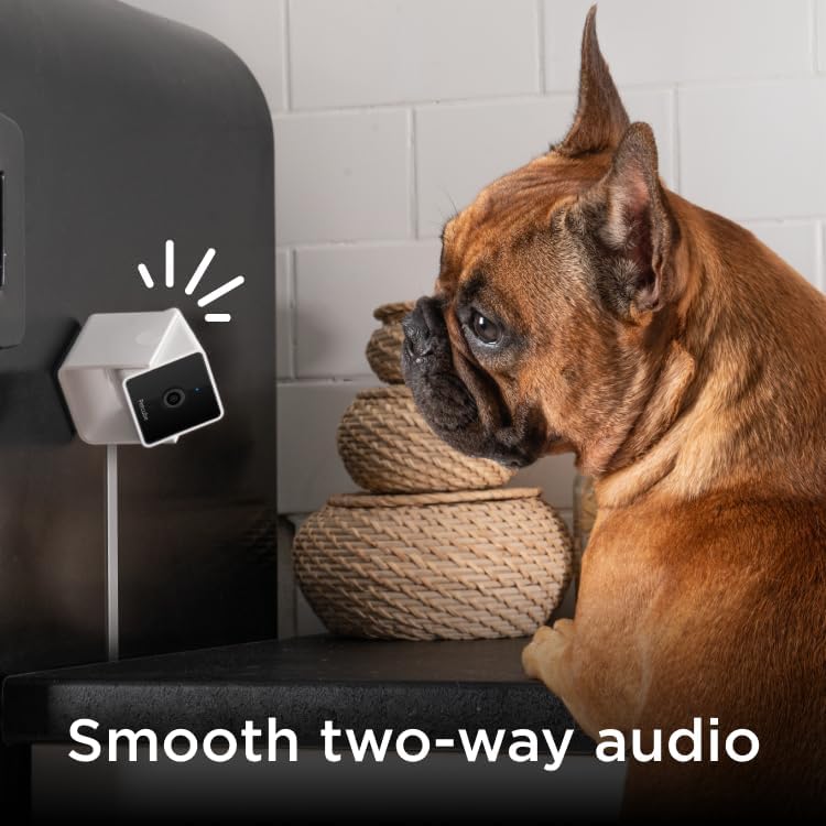 Petcube Cam (3-Pack) – Indoor Wi-Fi Home Security Camera with App
