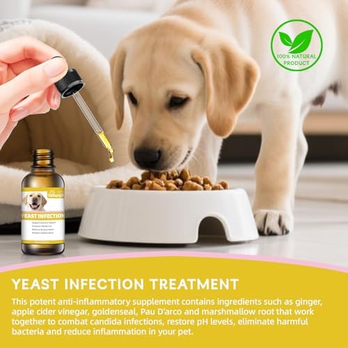 Natural Yeast Infection Treatment for Dogs, Helps to Support Itch Relief, Dog Ear Infection Treatment & Dog Yeast Infection Treatment for Dogs Help Supports Allergy, 60ml 1 Pack