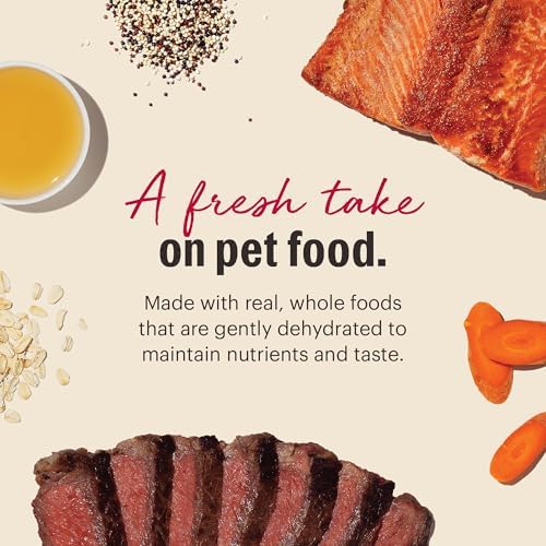 Honest Kitchen Wholemade Whole Grain Beef & Salmon Dehydrated Dog Food - 10 lb Box